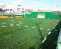 Canchas completamente empastadas.